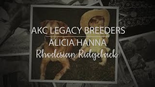 AKC Legacy Breeder Alicia Hanna