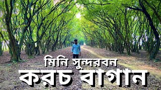 টাঙ্গুয়ার হাওরের করচ গাছ | বর্ষার আগে হাওর যেনো ঠিক সবুজের সমারোহ | Sunamgonj Travel