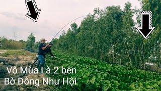 Câu Cá mùa Lũ Rút. Con Kinh Này Hàng năm Cá Khủng khiếp.@tranchungcuchi