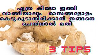 Easy step to keep ginger good for long time.ഇഞ്ചി ഇങ്ങനെ ചെയ്താൽ മാസങ്ങളോളം കേടു കൂടാതിരിക്കും