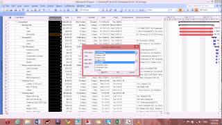 How to create contingency cost column