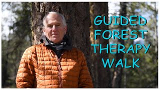 Virtual Forest Therapy Walk with Certified Guide, Pat Bavin (Spring 2020)