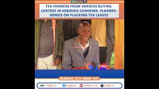 Tea farmers from various Buying centres in Kebirigo oppose the planned demos on plucking tea leaves