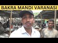 Bakra Mandi Varanasi | Bakra EID 2023 | Beniyabag Park Bakra Market | Goat Market | Bakre Market