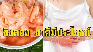 ขิงดองยาดีมีประโยชน์ รีบทำกินเลยด้วยวิธีทำขิงดอง ทำง่าย อร่อยด้วย