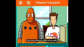 BP Passive Transport