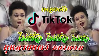 ไม่เชื่อ (ต้นฉบับ เพลงดังTiktok) กุหลาบแดงหนามคม | นกยูงทอง