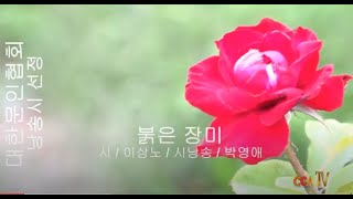 이상노 / 붉은 장미 / 시낭송 / 박영애 (낭송시 선정)