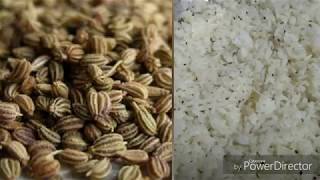 Healthy Rice Recipe | పిల్లలకు కడుపు ఉబ్బరం లేదా అరుగుదల లేకుంటే వాము అన్నం పెట్టండి |Ajwain Rice