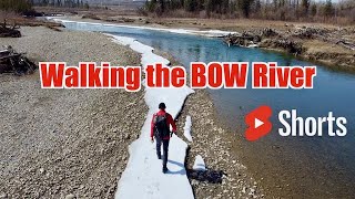 Best Hike - Walking the BOW RIVER in Canada