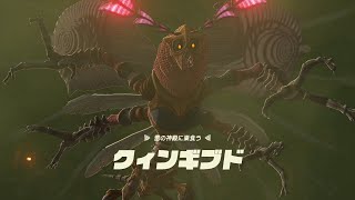 #36 【ゼルダの伝説 ティアーズ オブ ザ キングダム】雷の神殿ボス：クィンギブド戦（ゲルドの街のルージュ）【\u0026G】