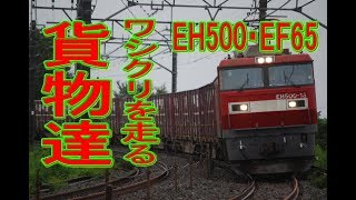 2018年9/30ワシクリで働く貨物列車達　Japanese freight train