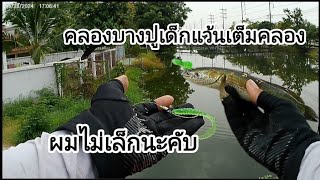 ตกปลาช่อน หมายคลองบางปู เดือดสุดๆเด็กเว้นเต็มคลอง #ตกปลาช่อนคลอง #fishing