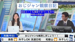 おじジャンを目撃したい大島璃音　ウェザーニュース　20221013【字幕あり】