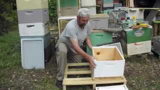 TOP BOTTOM Combination Board Beehive Equipment Beekeeping Honey Bee Hive, Georgia Beekeeper John Plu