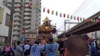 平成二十九年 牛嶋神社大祭 向島一丁目 発輿