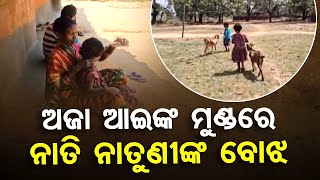 Apana Eka Nuhanti | Elderly couple in Sundargarh urges govt to help grandchildren