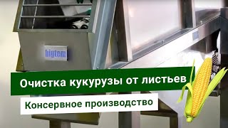 Кукурузный початкоочиститель. Линия очистки кукурузы шелушильной машиной. Хаскер/лущитель/теребилка.