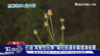 漫遊田尾「拈花惹草」 二水尋幽望天聽風｜TVBS新聞