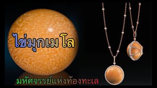 ไข่มุกเมโล มหัศจรรย์แห่งท้องทะเล!!! เปิดตำนานอัญมณี/สิ่งของ ก้องโลก No.64