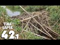 Me With My Brother And Big Amount Of Water - Manual Beaver Dam Removal No.42.1 - Time-Lapse Version