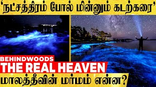 'இரவில் ஜொலிக்கும் கடற்கரை.. மாலத்தீவின் மர்மம் என்ன?.. The Real Heaven!' | #Maldives