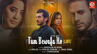 Tum Bewafa Ho (Lofi) | Payal Dev | Stebin Ben | DJ Nitish Gulyani | Arjun Bijlani | Nia Sharma