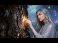 Novi - Echoes In The Silent