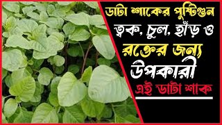 ডাটা শাকের উপকারিতা ও পুষ্টিগুন||ত্বক||চুল||হাঁড় ও রক্তের জন‍্য উপকারী ডাটা শাক।