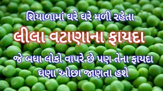 શિયાળામાં મળતા લીલા વટાણાના ફાયદા- Benefits of Green Peas-Lila Vatana Na Fayada- Hare Matar ke Fayde