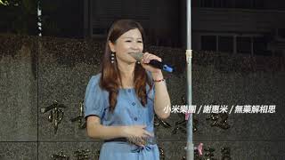 謝惠米 ~ 無藥解相思   (  林姍  )   台語歌曲   2023.10.08  ( 小米音樂故事 )