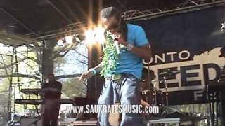 MONEY OR LOVE? - SAUKRATES LIVE @ THE 2010 TORONTO FREEDOM FESTIVAL