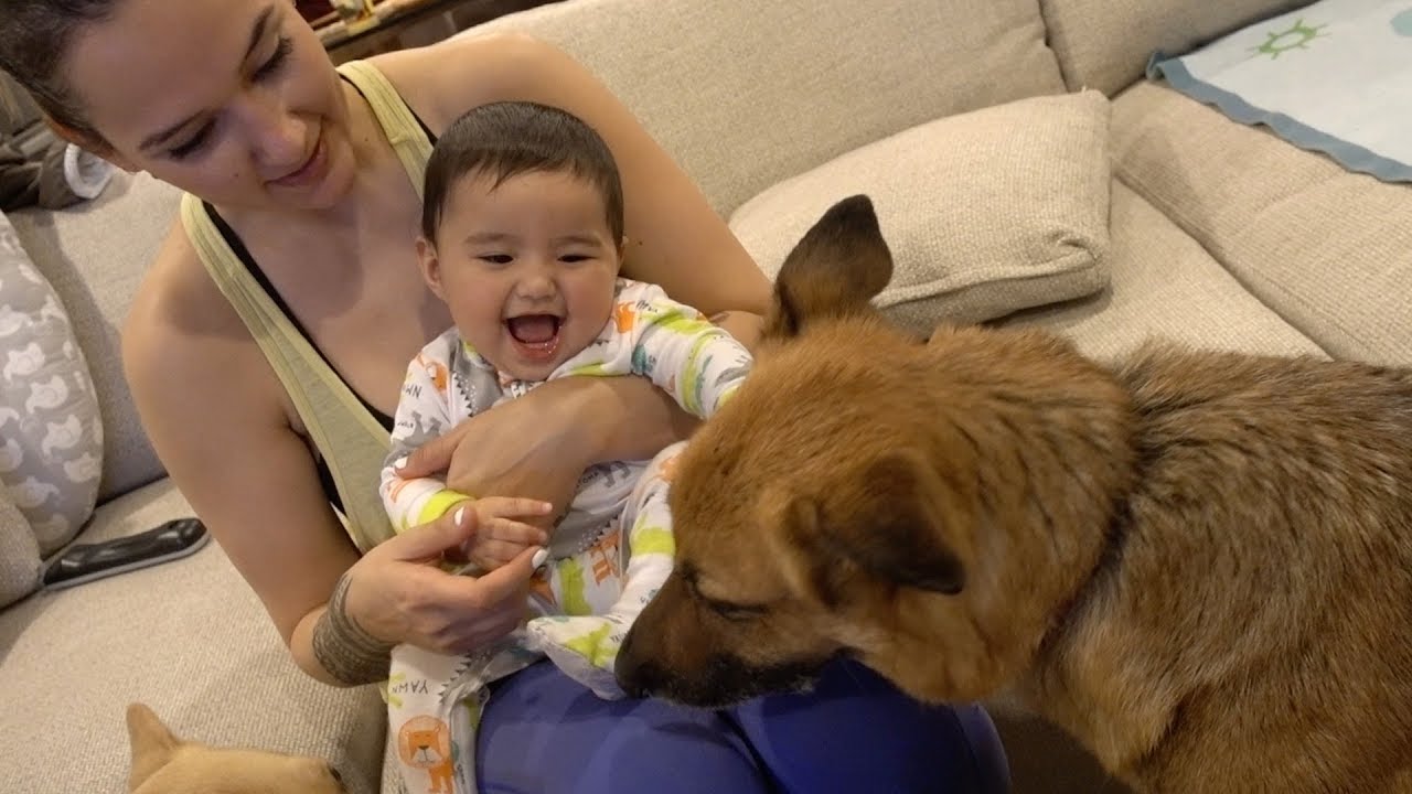 Our Baby Plays With Our German Shepherd! - YouTube