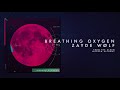 zayde wolf breathing oxygen official audio