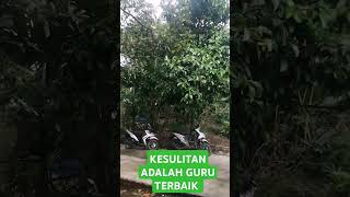 KESULITAN ADALAH PELAJARAN TERBAIK