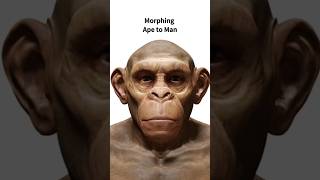 AI morphing animation - Ape to Man #shorts #monkey #ape #human #status