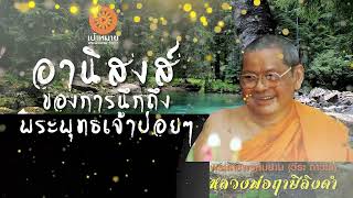 8. อานิสงส์ของการนึกถึงพระพุทธเจ้าบ่อยๆ  | หลวงพ่อฤาษีลิงดำ (พระราชพรหมยาน)