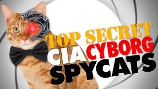 TOP SECRET CIA Cyborg Spy-Cats?