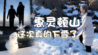 [中/ENG]断舍离之二手店卖衣服💋惠灵顿山这次真的下雪了❄️Dandy Lane周末brunch🥪冬天就是一直在疯狂下雨的塔斯马尼亚日常～☔️✮佩奇的周记✮VLOG 31.0