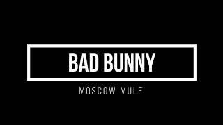 Bad Bunny - Moscow Mule 1 hour hora mix