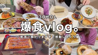 【爆食vlog】鰻にタレカツ.スペアリブ肉祭り🍖豪華に年末を迎えたいOLの記録。