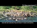 wisata umbul jambe alas ketonggo desa babadan paron ngawi
