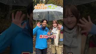 【ふたりソロキャンプ】第7話今夜9時25分！TVerお気に入り登録忘れずに☂ #ふたりソロキャンプ #毎週木曜放送中 #Shorts