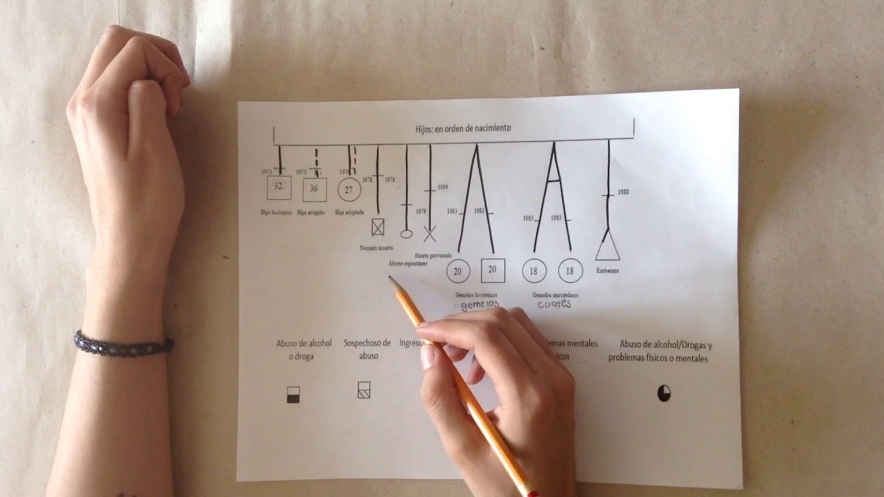 Genograma Familiar Parte 4 - YouTube
