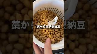 藁から自家製納豆は簡単！#shorts