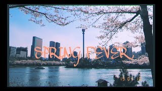 어떤 계절을 좋아하세요? , 내가 담은 찰나의 봄 / In which season do you feel most alive? SPRING FEVER !_ 오앤Oand