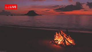 Soothing Relaxation: Relaxing Piano Music, Sleep Music, Water Sounds, Relaxing Music, Meditation