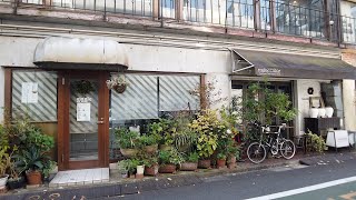 中根小通り　東京都目黒区 :Tokyo cityscape