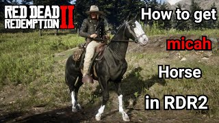 رد دد ردمپشن۲ : آموزش گرفتن اسب مایکا در رد دد۲ How to get micah horse in Red Dead Redemption 2