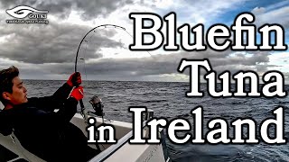 【クロマグロ】Bluefin Tuna in Ireland　〜100kgオーバーとの闘い〜